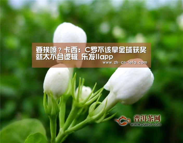 要挨喷？卡西：C罗不该拿金球获奖就太不合逻辑_乐发IIapp