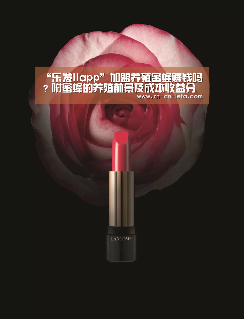 乐发IIapp
