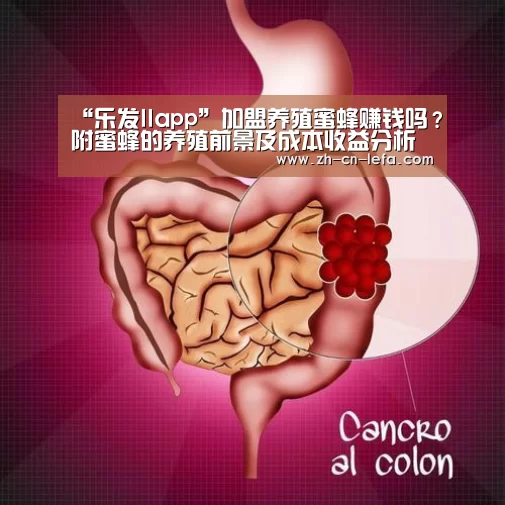 乐发IIapp
